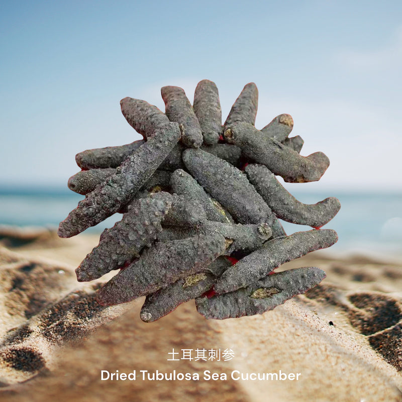 土耳其刺参 / Dried Tubulosa Sea Cucumber