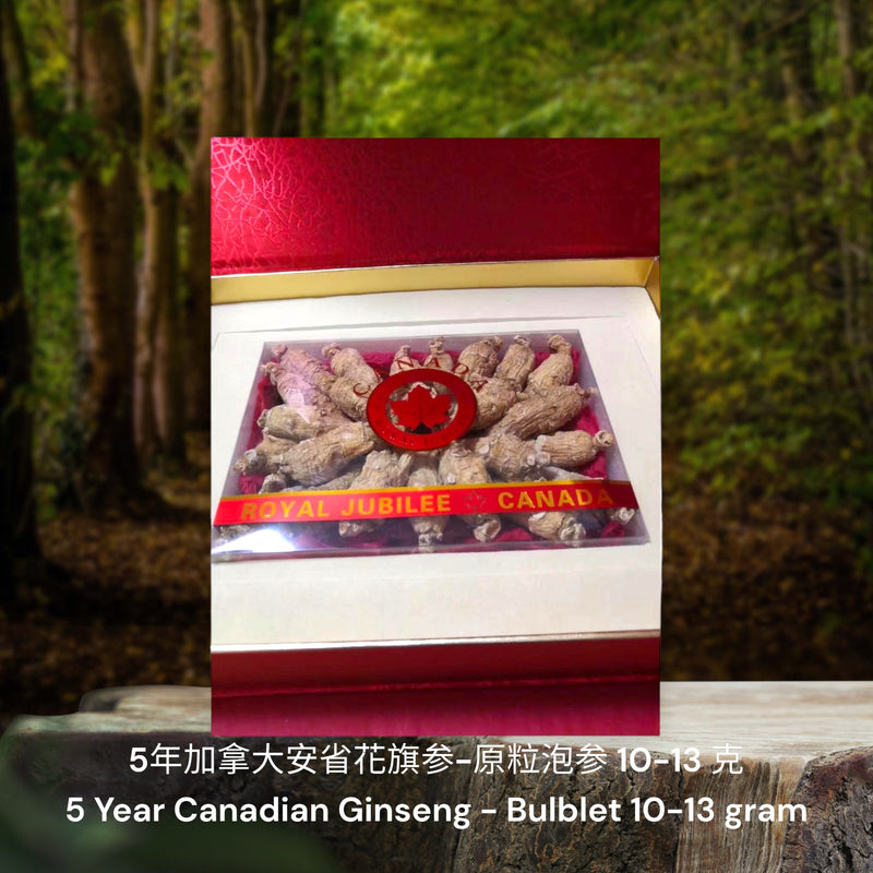 5年加拿大安省花旗参-原粒泡参/ 5 Year Canadian Ginseng - Bulblet