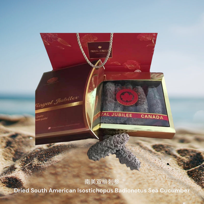 南美双排刺参/ Dried South American Isostichopus Badionotus Sea Cucumber