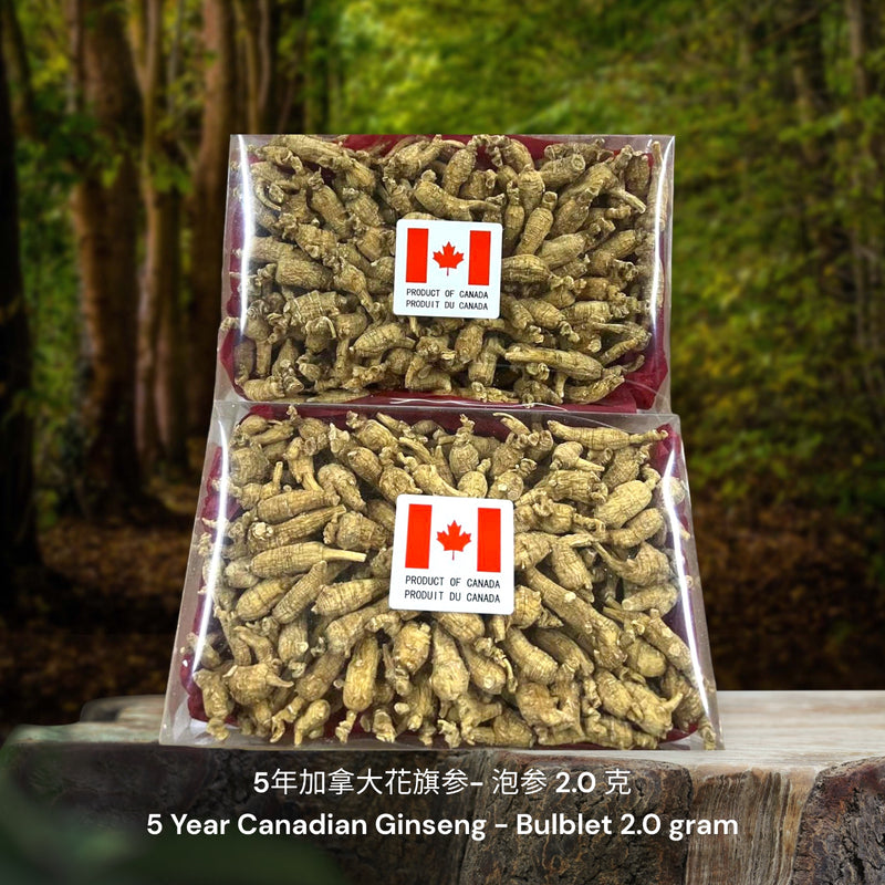 5年加拿大安省花旗参-泡参/ 5 Year Canadian Ginseng - Bulblet