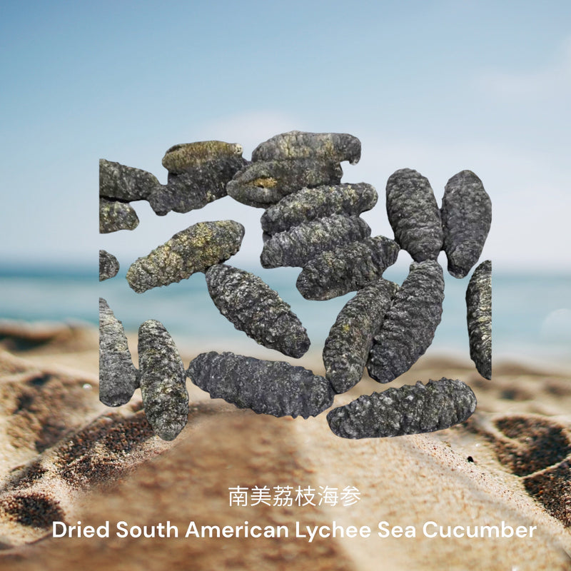 南美荔枝海参/ Dried South American Lychee Sea Cucumber