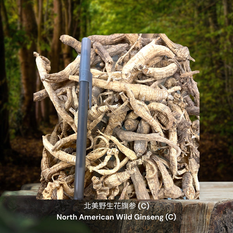 北美野生花旗参 / North American Wild Ginseng