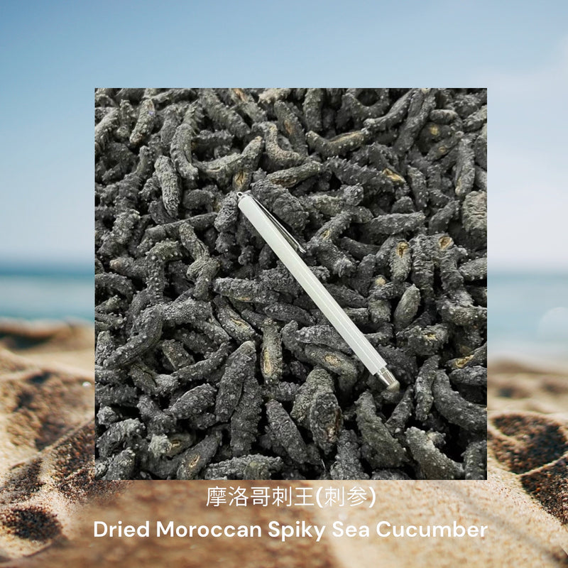 摩洛哥刺王(刺参) / Dried Moroccan Spiky Sea Cucumber