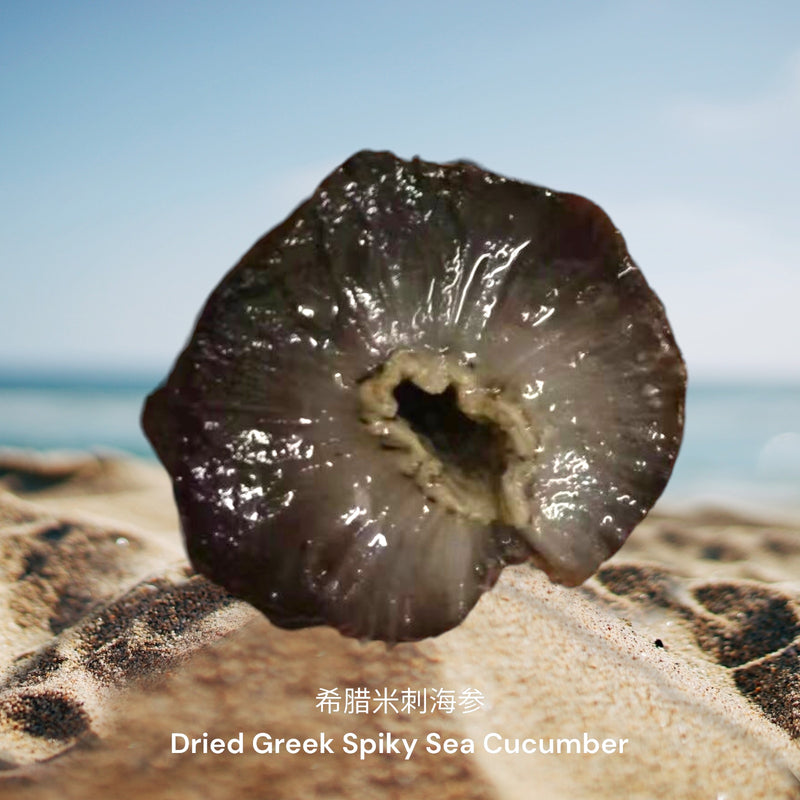 希腊米刺海参/ Dried Greek Spiky Sea Cucumber