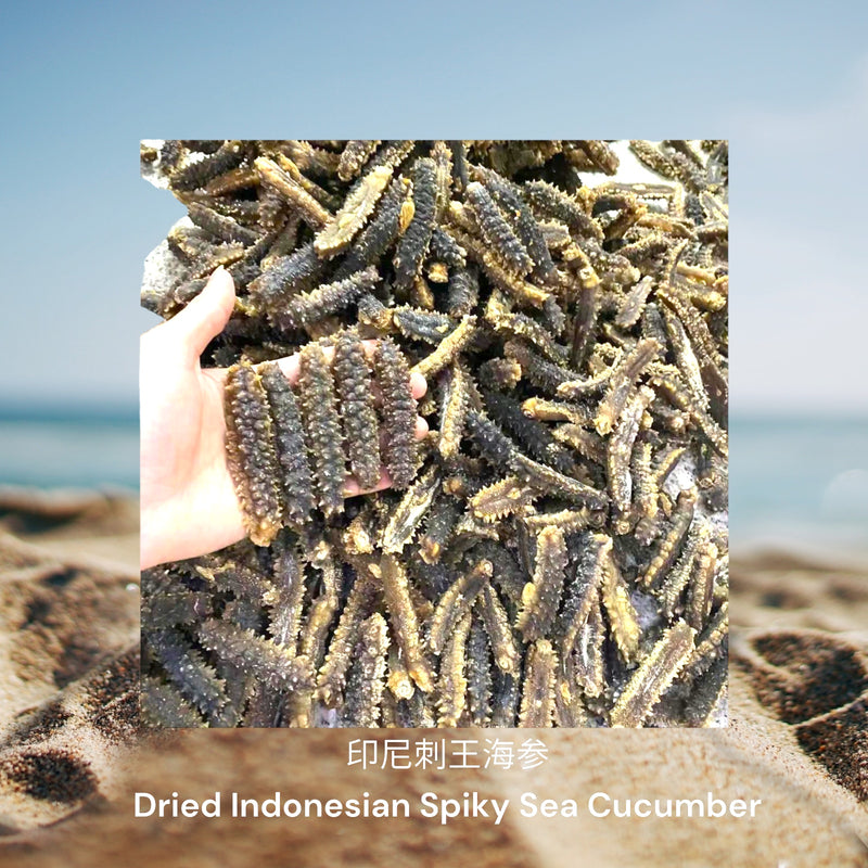 印尼刺王海参/  Dried Indonesian Spiky Sea Cucumber