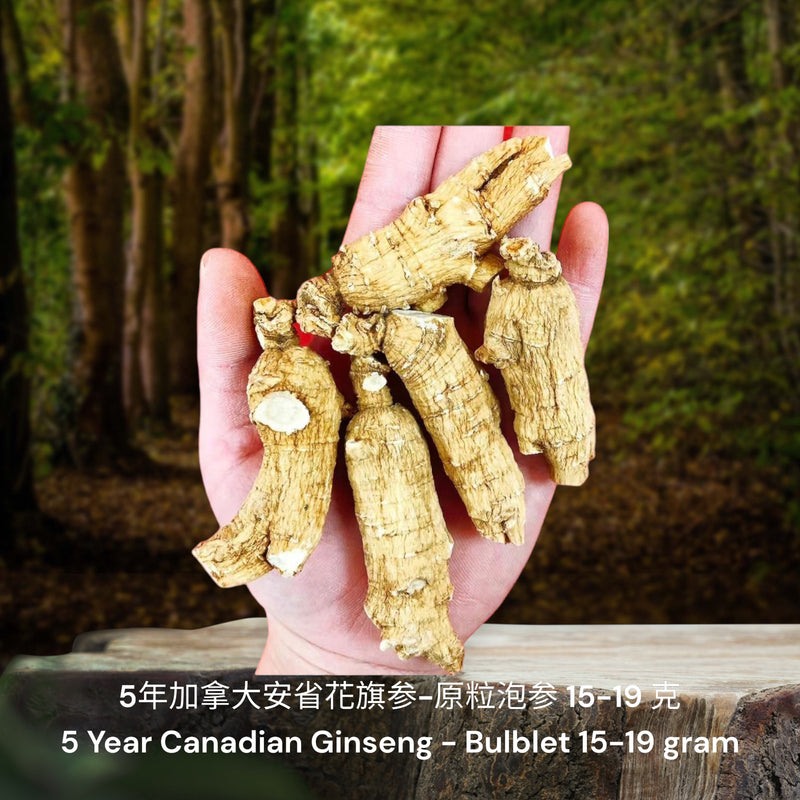 5年加拿大安省花旗参-原粒泡参/ 5 Year Canadian Ginseng - Bulblet
