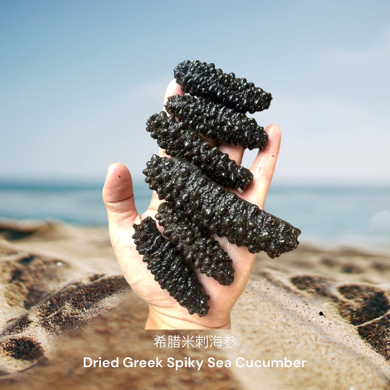 希腊米刺海参/ Dried Greek Spiky Sea Cucumber