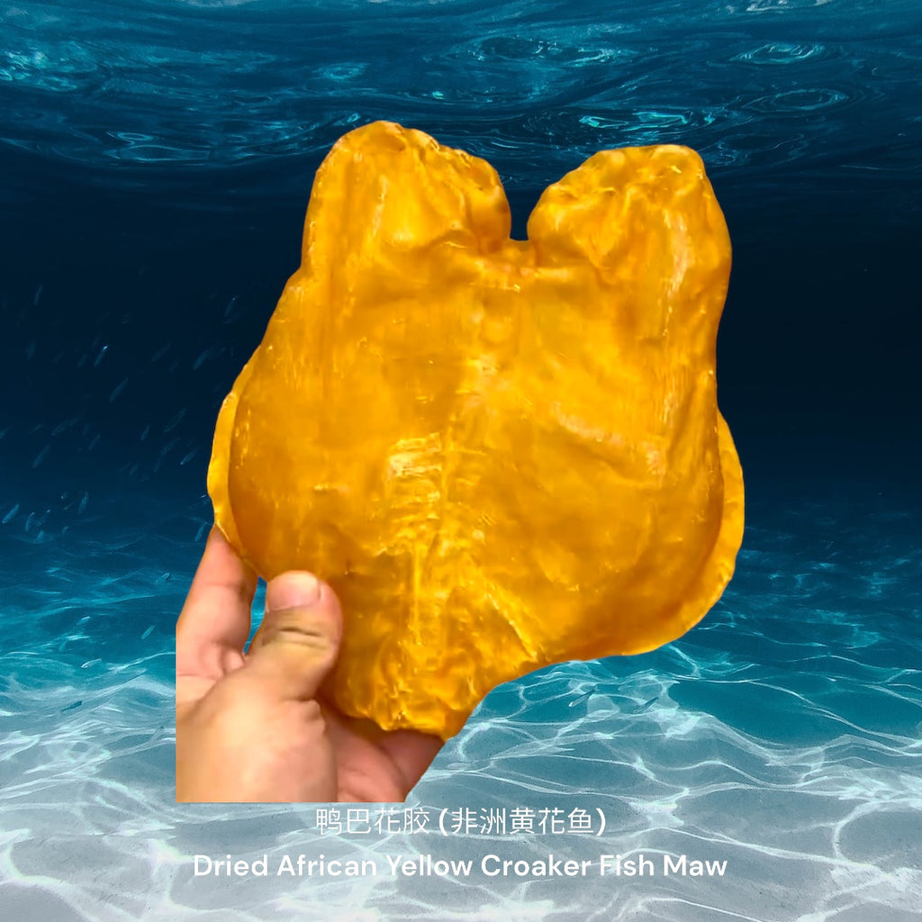 鸭巴花胶 (非洲黄花鱼)/ Dried African Yellow Croaker Fish Maw