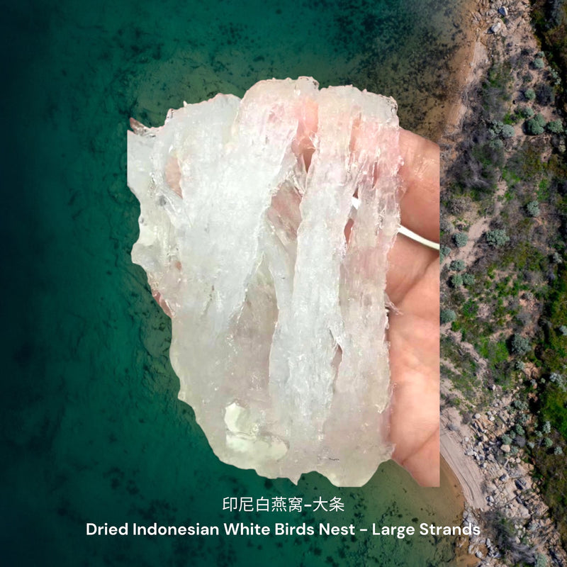 印尼白燕窝-大条/ Dried Indonesian White Birds Nest - Large Strands