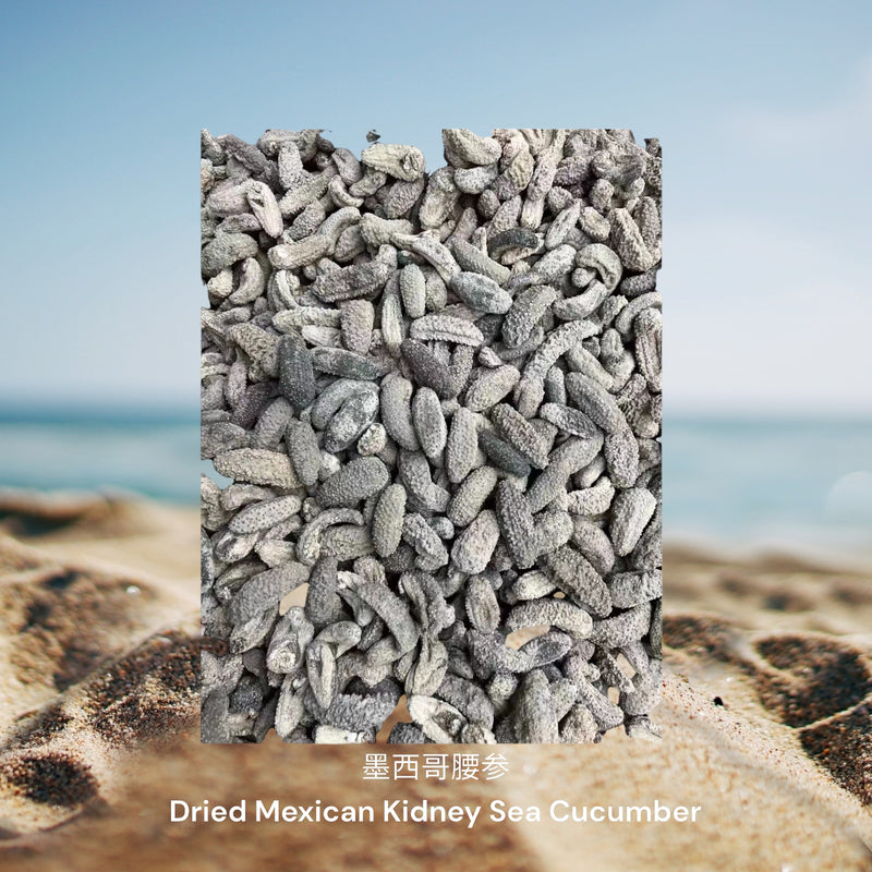 墨西哥腰参 / Dried Mexican Kidney Sea Cucumber
