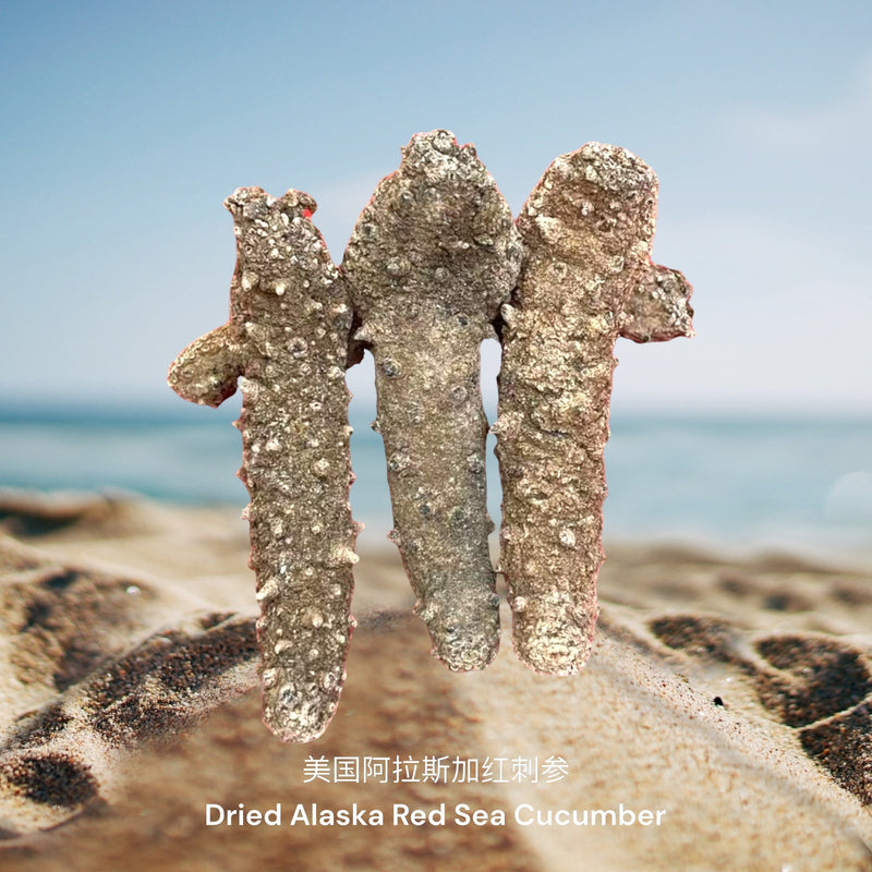 美国阿拉斯加红刺参 / Dried Alaska Red Sea Cucumber