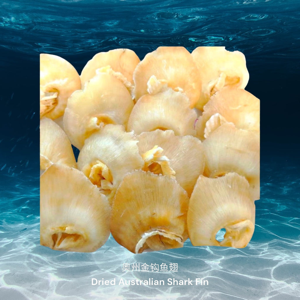 奥州金钩鱼翅/ Dried Australian Shark Fin
