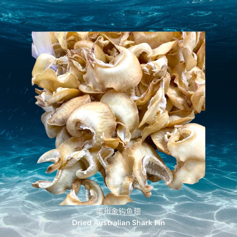 奥州金钩鱼翅/ Dried Australian Shark Fin