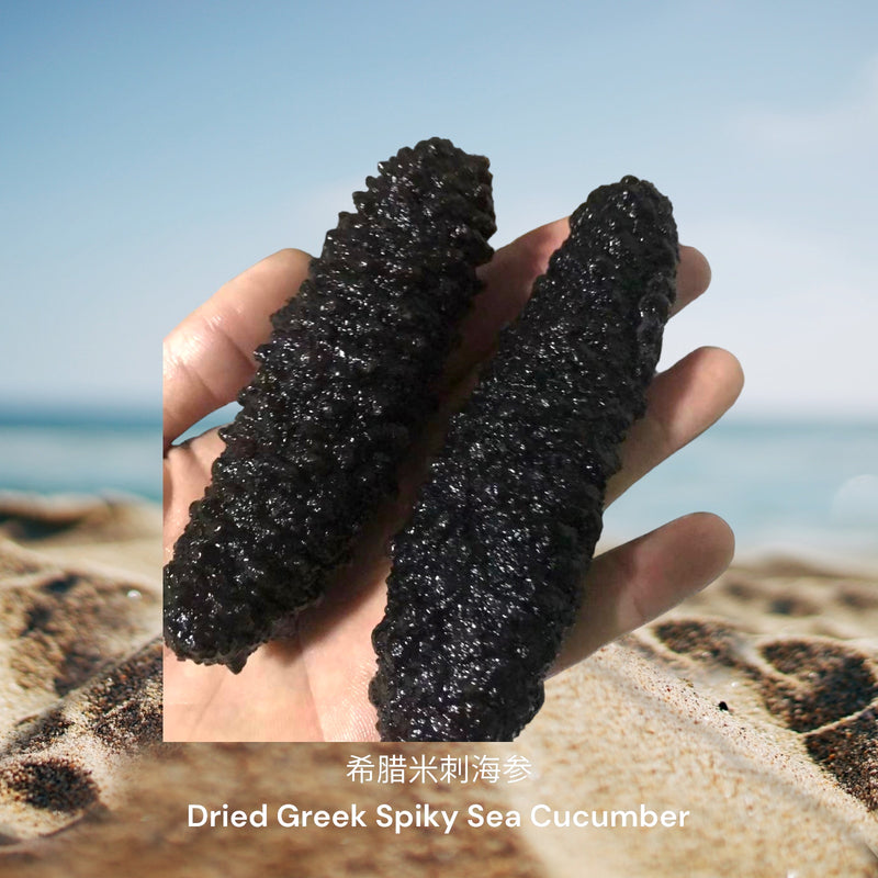 希腊米刺海参/ Dried Greek Spiky Sea Cucumber