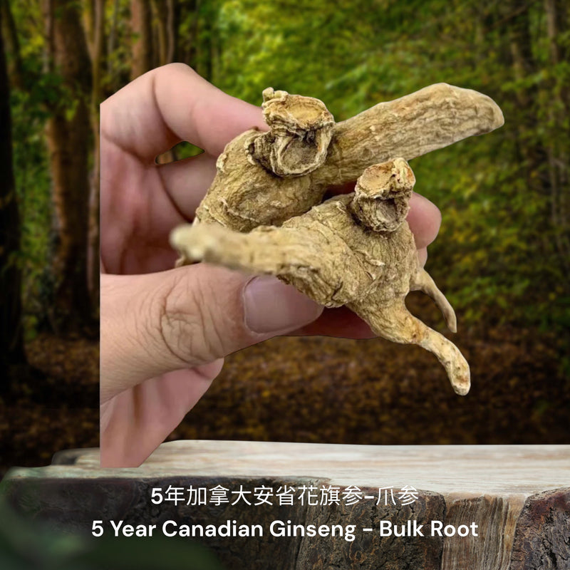 5年加拿大安省花旗参-爪参/ 5 Year Canadian Ginseng - Bulk Root