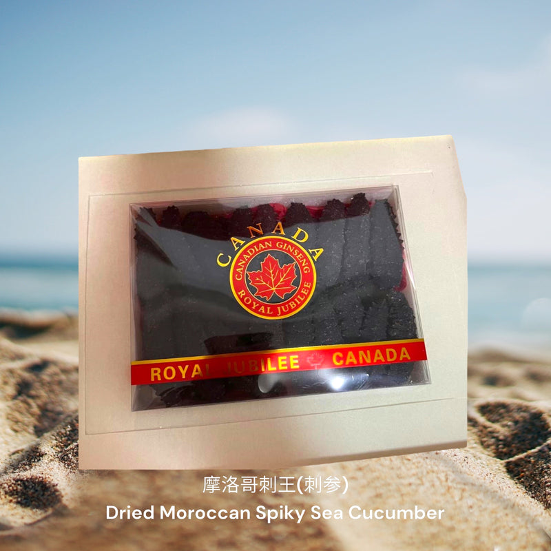 摩洛哥刺王(刺参) / Dried Moroccan Spiky Sea Cucumber