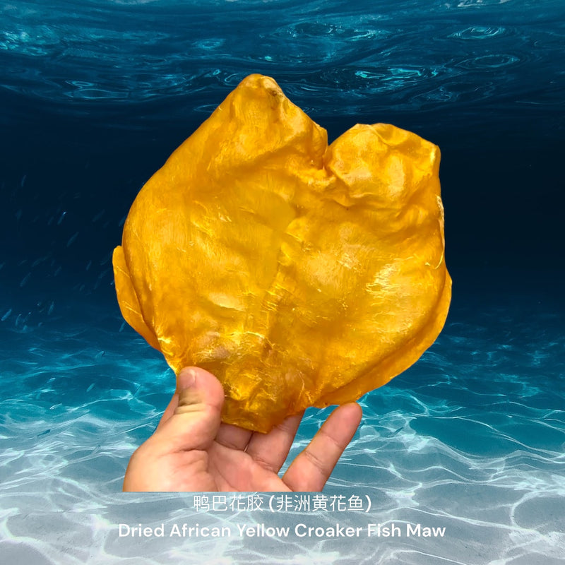 鸭巴花胶 (非洲黄花鱼)/ Dried African Yellow Croaker Fish Maw
