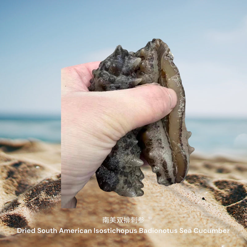 南美双排刺参/ Dried South American Isostichopus Badionotus Sea Cucumber