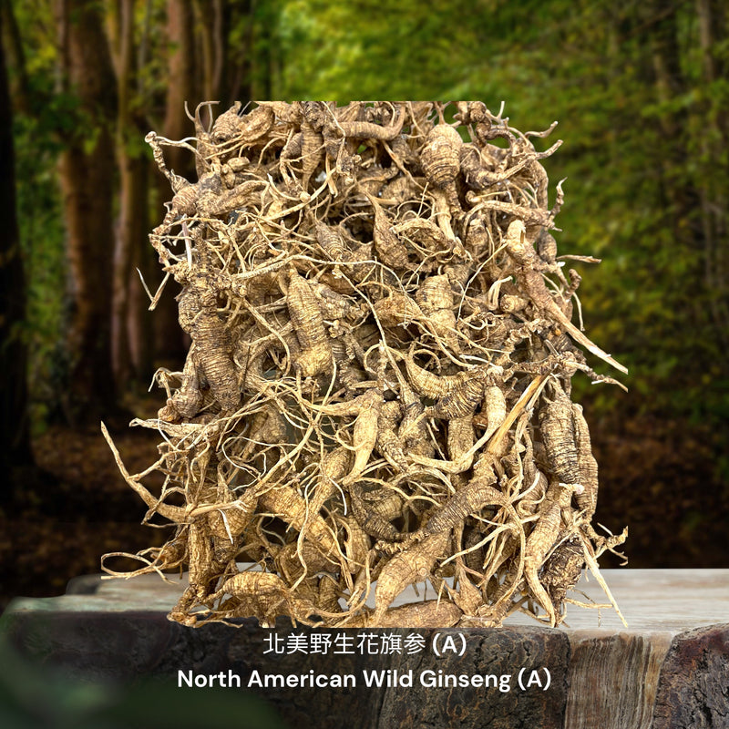 北美野生花旗参 / North American Wild Ginseng