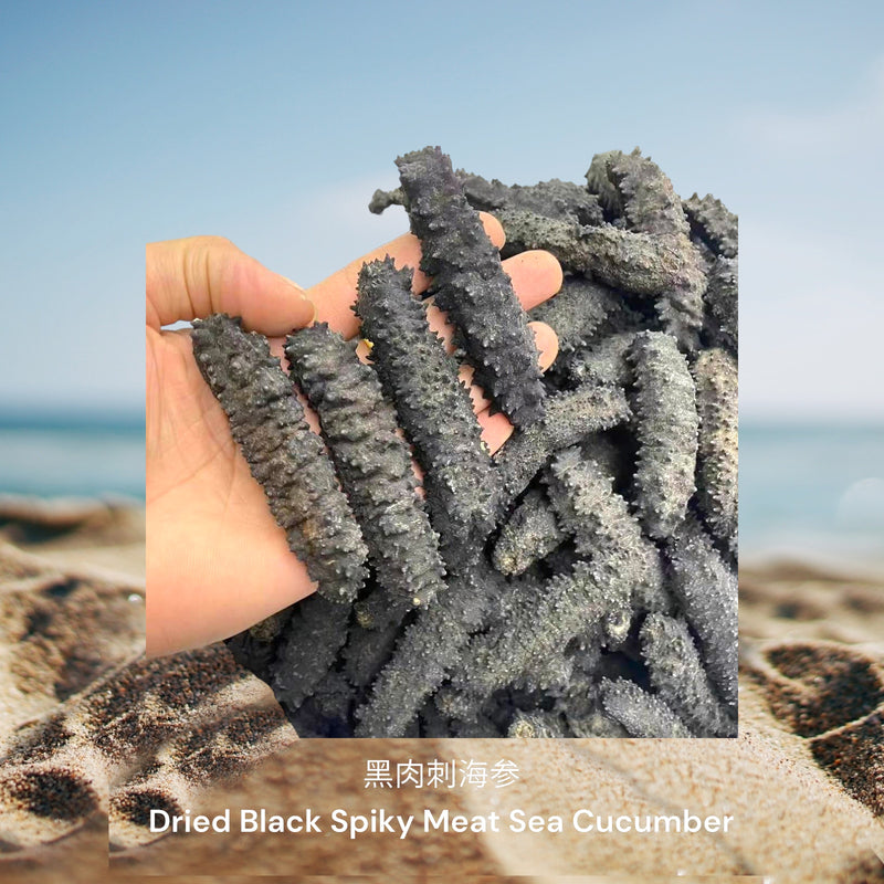黑肉刺海参/ Dried Black Spiky Meat Sea Cucumber
