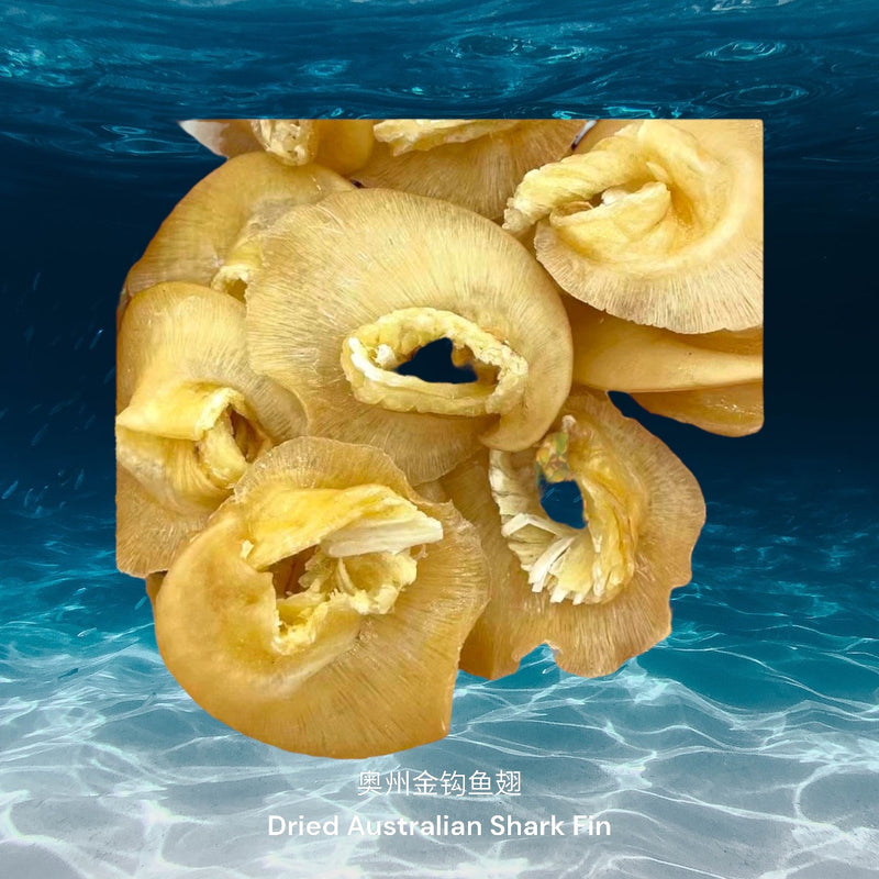 奥州金钩鱼翅/ Dried Australian Shark Fin