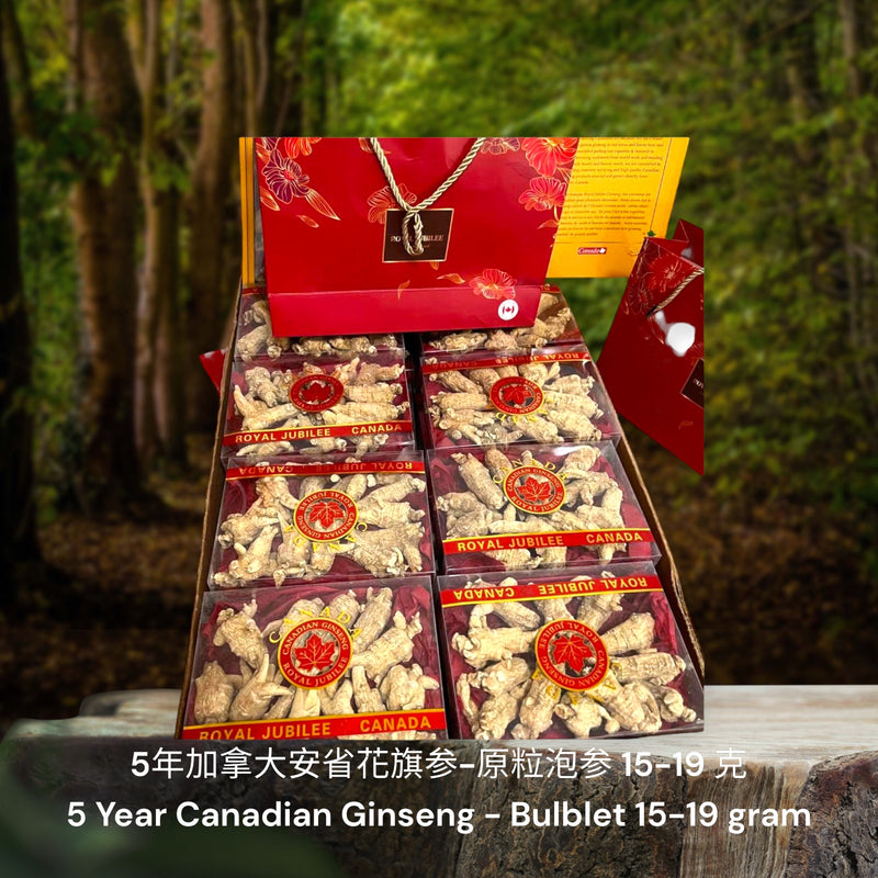 5年加拿大安省花旗参-原粒泡参/ 5 Year Canadian Ginseng - Bulblet