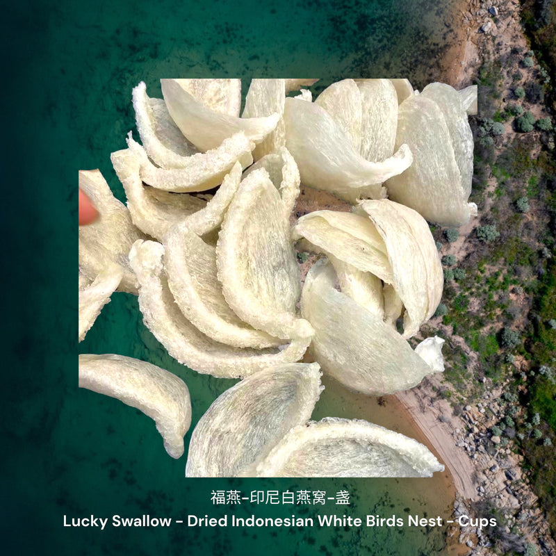 福燕-印尼白燕窝-盏 / Lucky Swallow - Dried Indonesian White Birds Nest - Cups