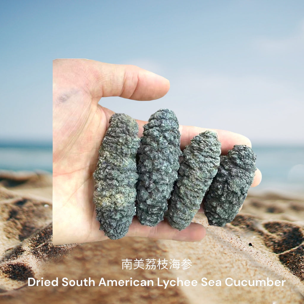 南美荔枝海参/ Dried South American Lychee Sea Cucumber
