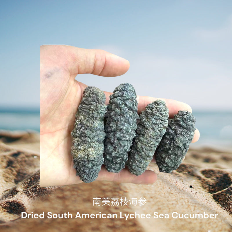 南美荔枝海参/ Dried South American Lychee Sea Cucumber