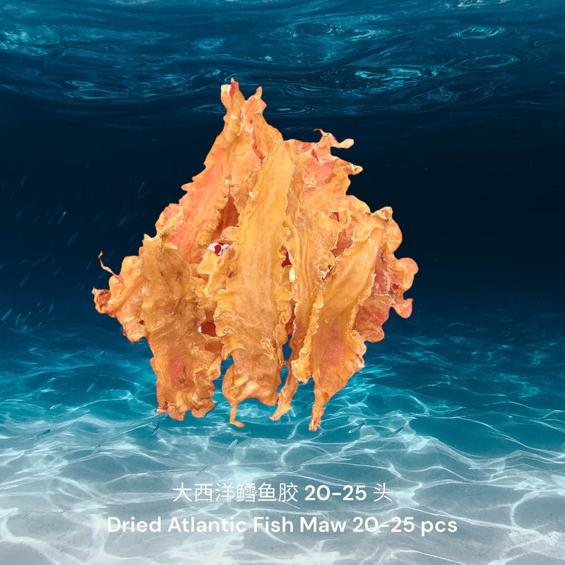 大西洋鳕鱼胶/ Dried Atlantic Cod Fish Maw