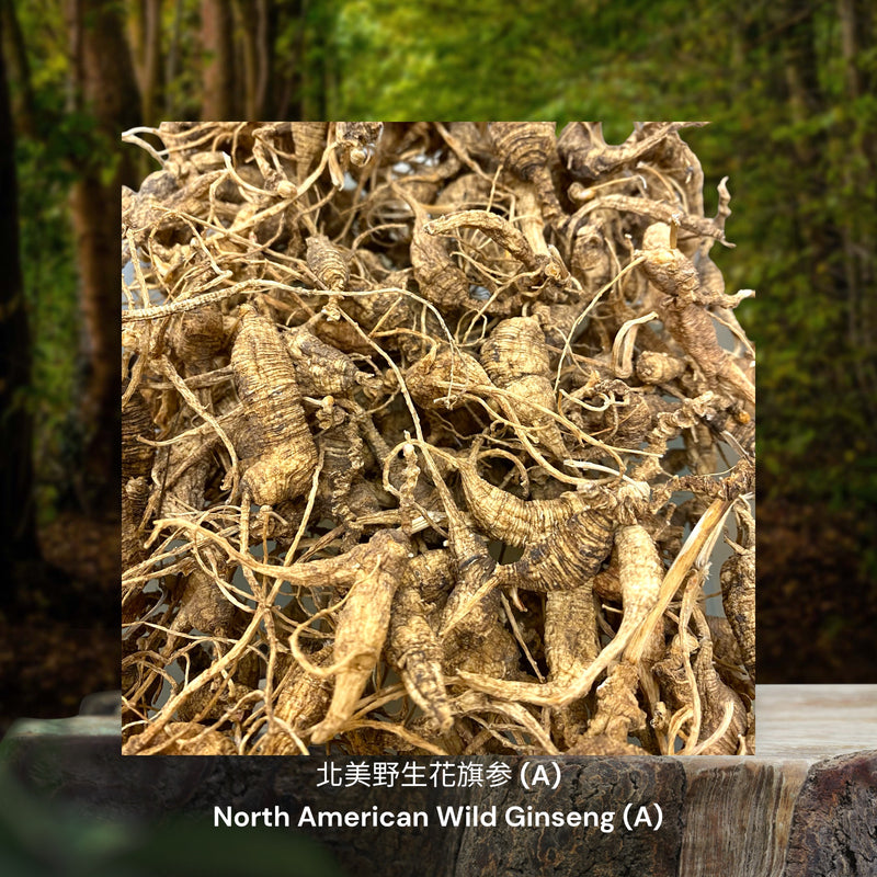 北美野生花旗参 / North American Wild Ginseng