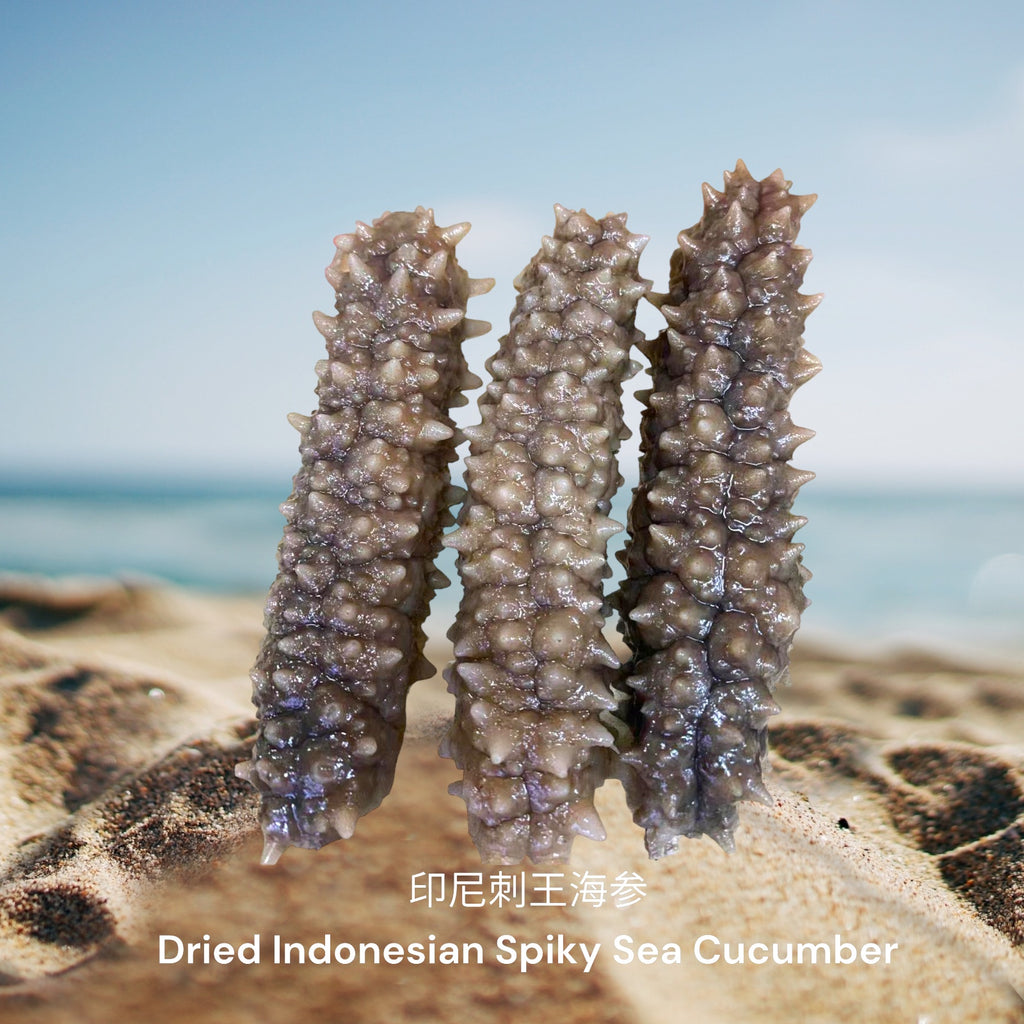 印尼刺王海参/  Dried Indonesian Spiky Sea Cucumber