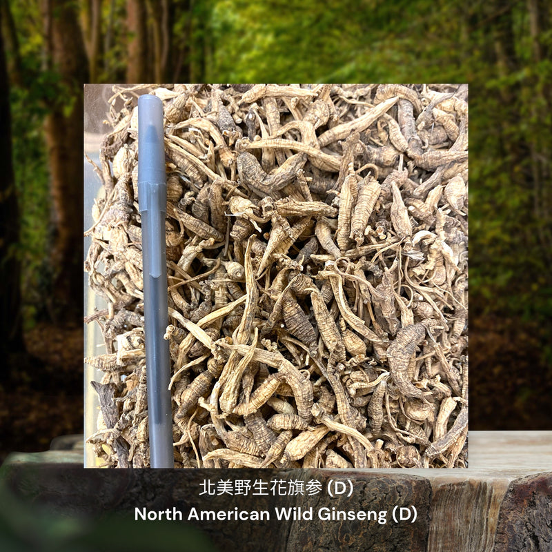 北美野生花旗参 / North American Wild Ginseng