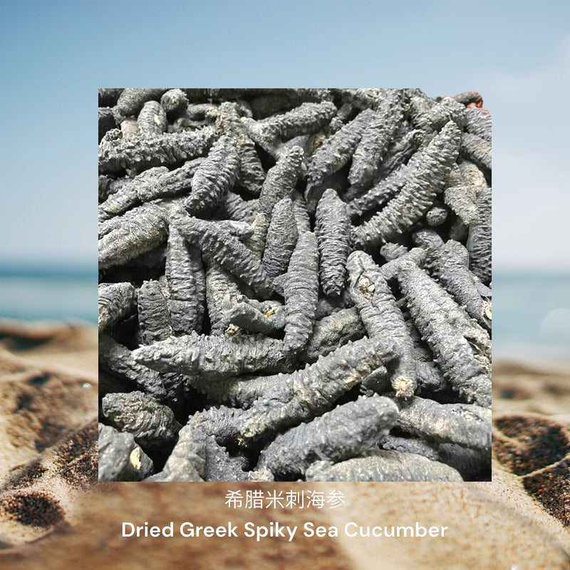 希腊米刺海参/ Dried Greek Spiky Sea Cucumber