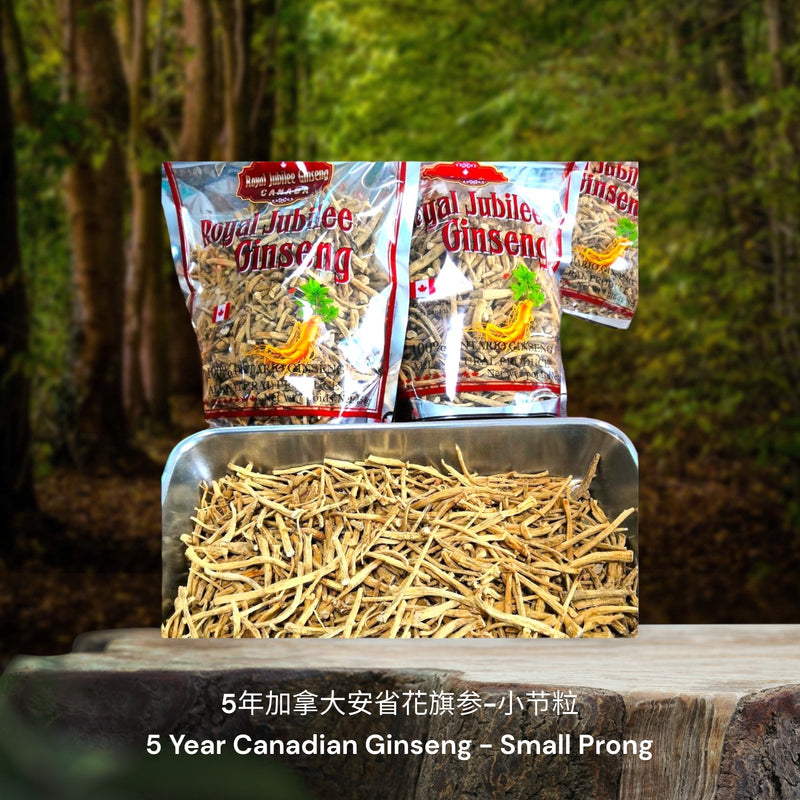 5年加拿大安省花旗参-节粒 / 5 Year Canadian Ginseng - Prong