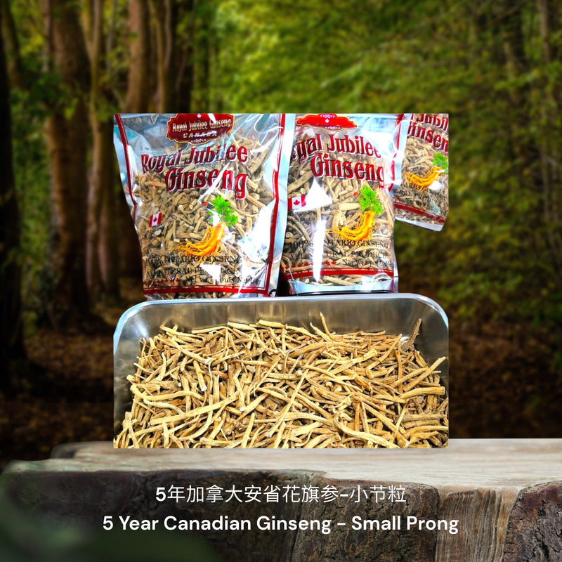 5年加拿大安省花旗参-节粒 / 5 Year Canadian Ginseng - Broken Prongs