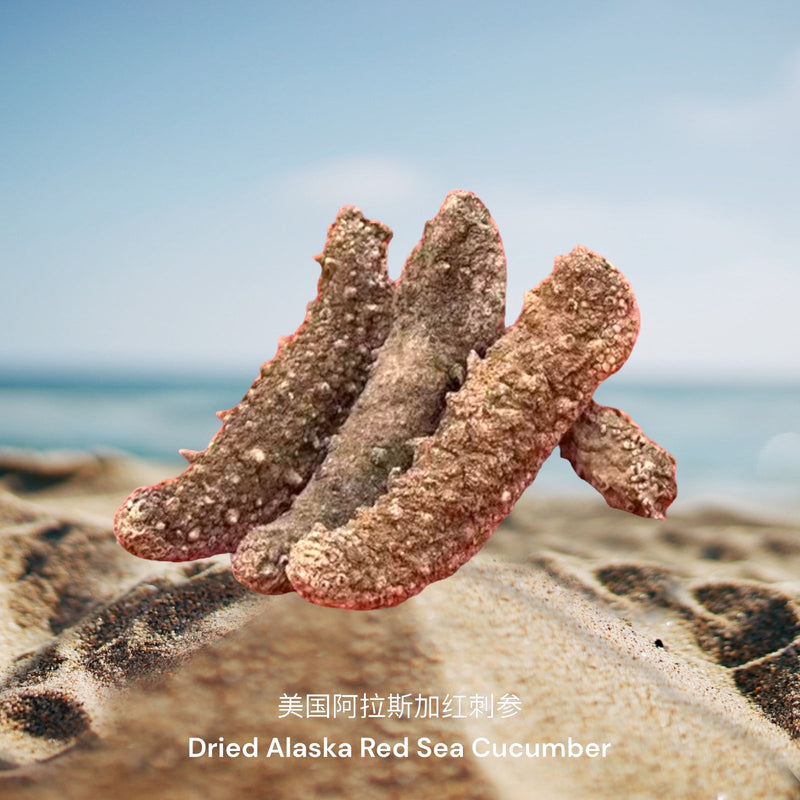 美国阿拉斯加红刺参 / Dried Alaska Red Sea Cucumber