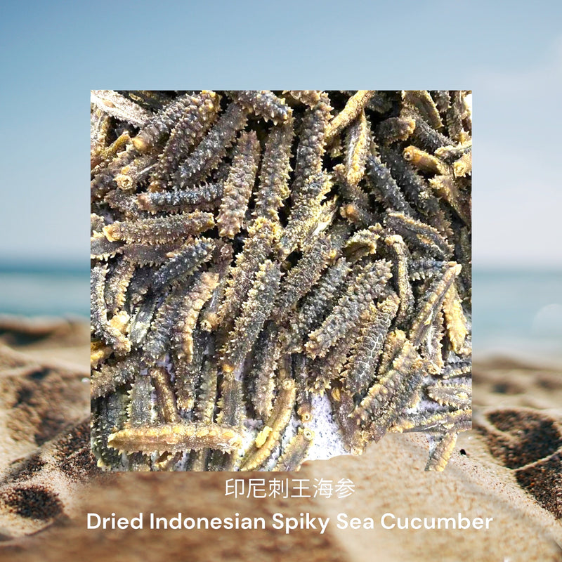印尼刺王海参/  Dried Indonesian Spiky Sea Cucumber