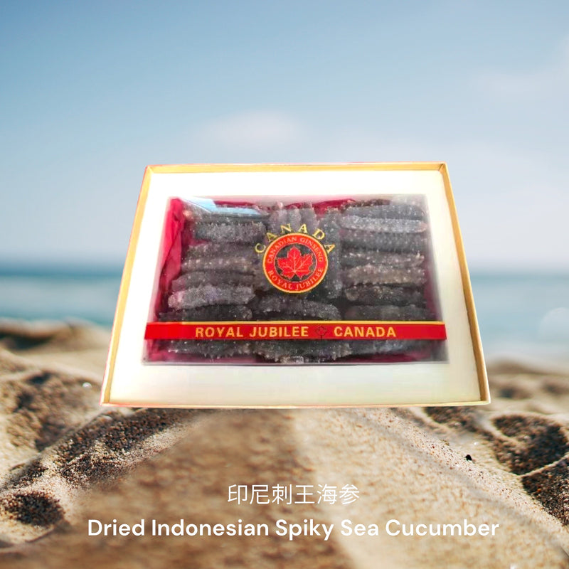 印尼刺王海参/  Dried Indonesian Spiky Sea Cucumber