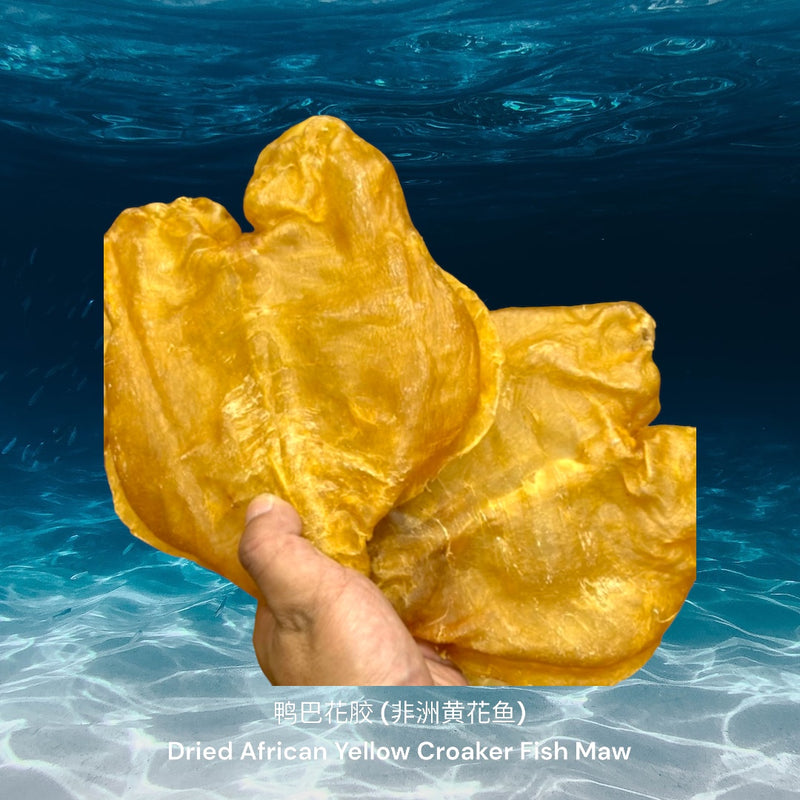 鸭巴花胶 (非洲黄花鱼)/ Dried African Yellow Croaker Fish Maw