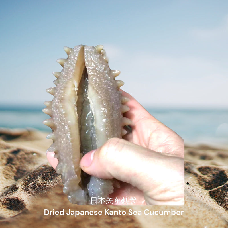 日本关东刺参 / Dried Japanese Kanto Sea Cucumber