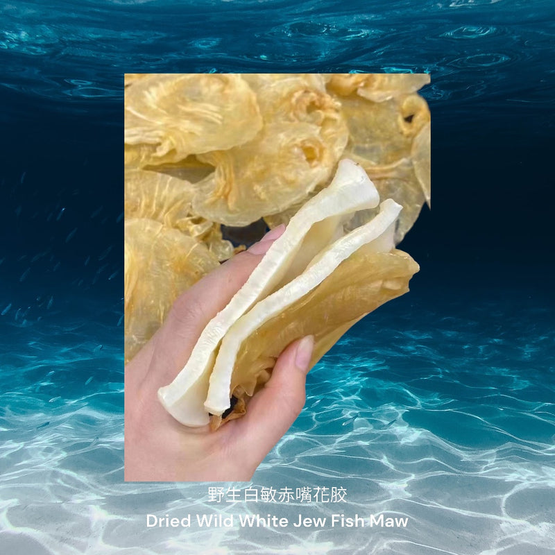野生白敏赤嘴花胶/ Dried Wild White Jew Fish Maw