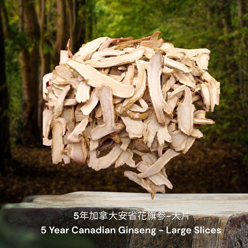 5年加拿大安省花旗参-大片 I 5 Year Canadian Ginseng - Large Slices