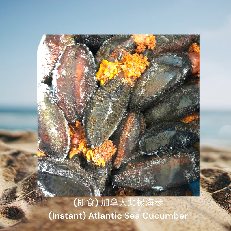 (即食)加拿大北极海参/ (Instant) Atlantic Sea Cucumber