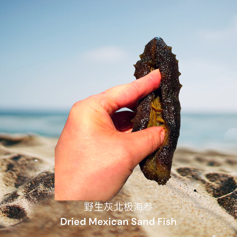 野生灰北极海参/  Dried Mexican Sand Fish