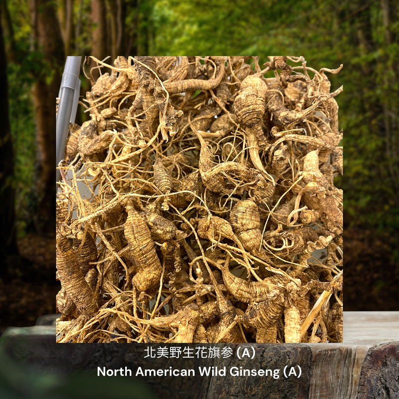 北美野生花旗参 / North American Wild Ginseng