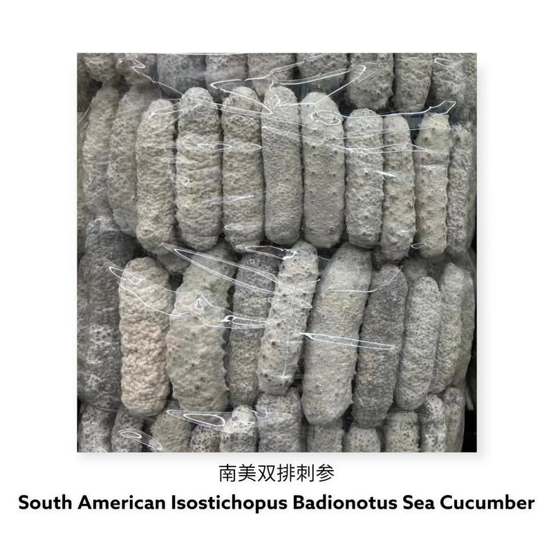 墨西哥双排刺海参/ Dried Mexican Badionotus Sea Cucumber