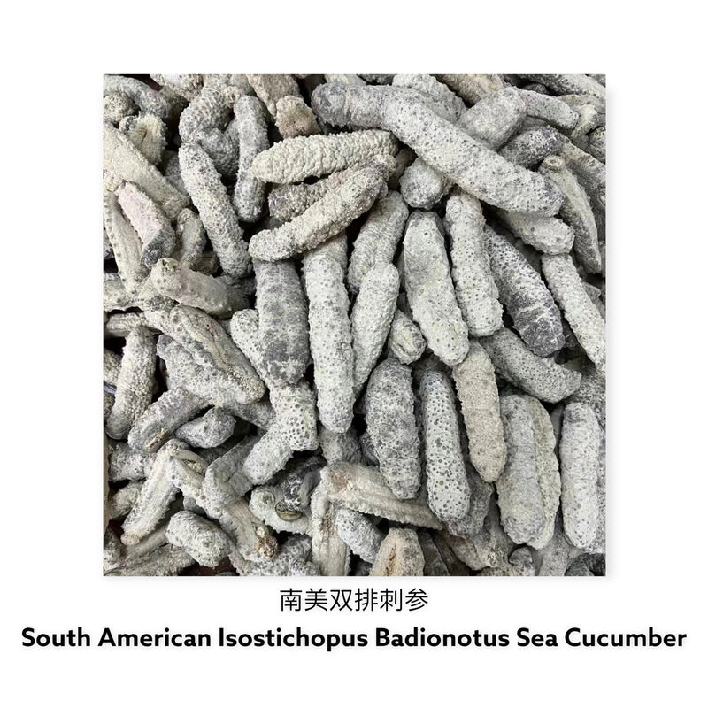 墨西哥双排刺海参/ Dried Mexican Badionotus Sea Cucumber