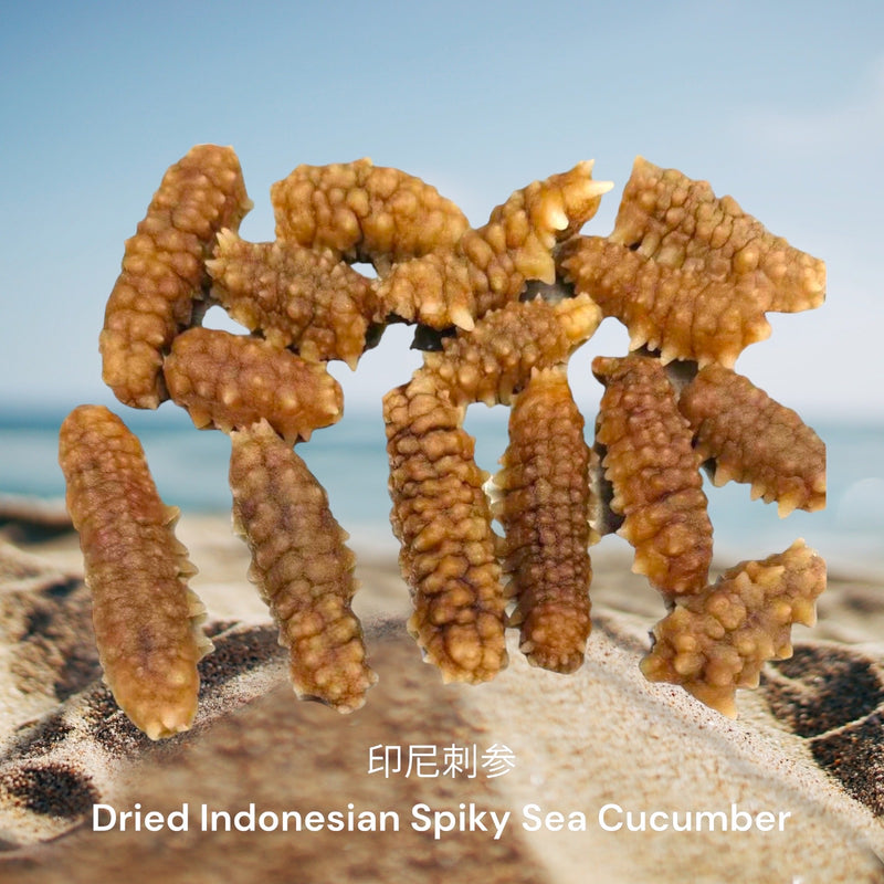 印尼刺海参/ Dried Indonesian Spiky Sea Cucumber