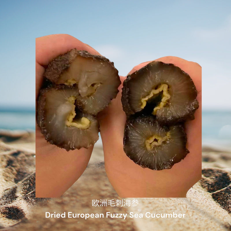 欧洲毛刺海参/ Dried European Fuzzy Sea Cucumber